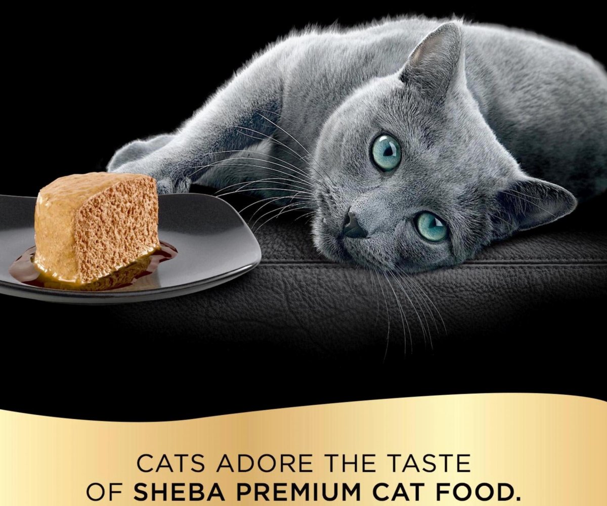 Ева Лонгория в рекламе Шеба