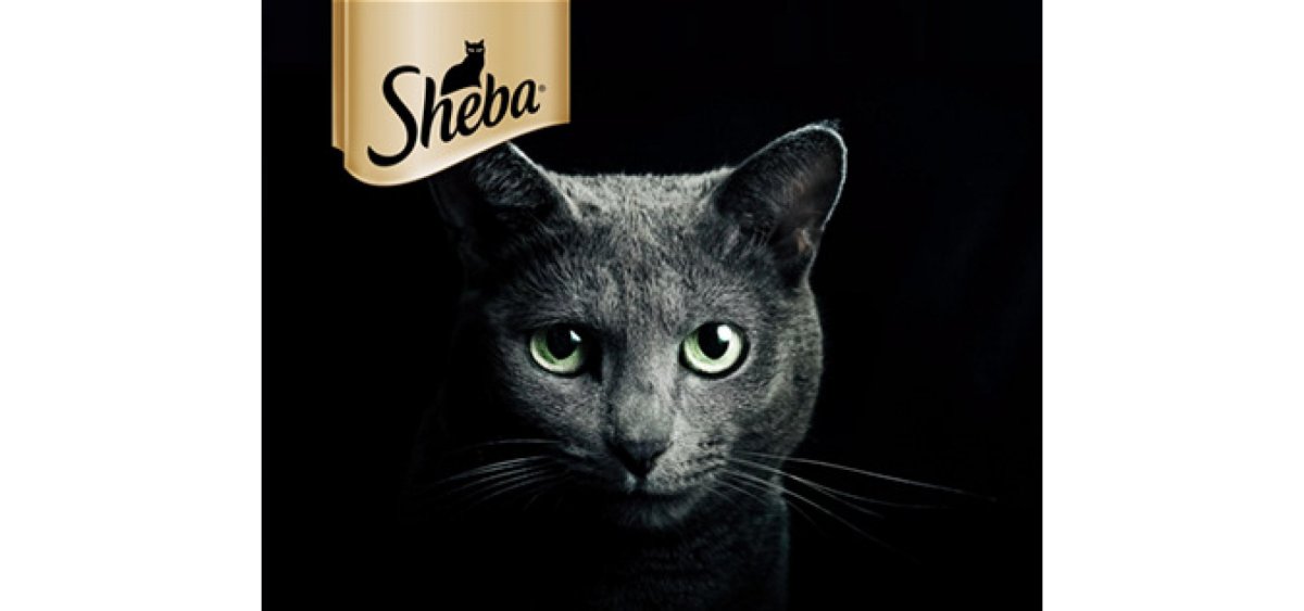Кошка в рекламе Шеба