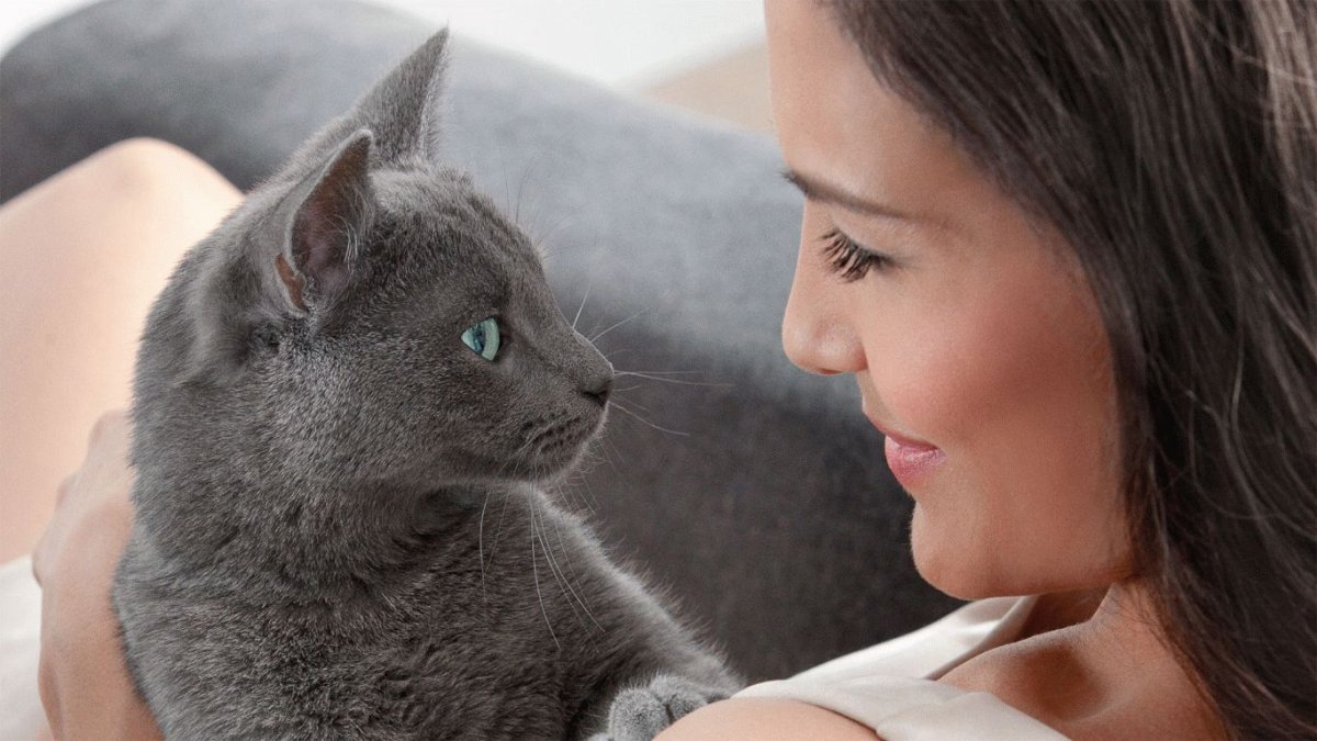 Ева Лонгория Шеба