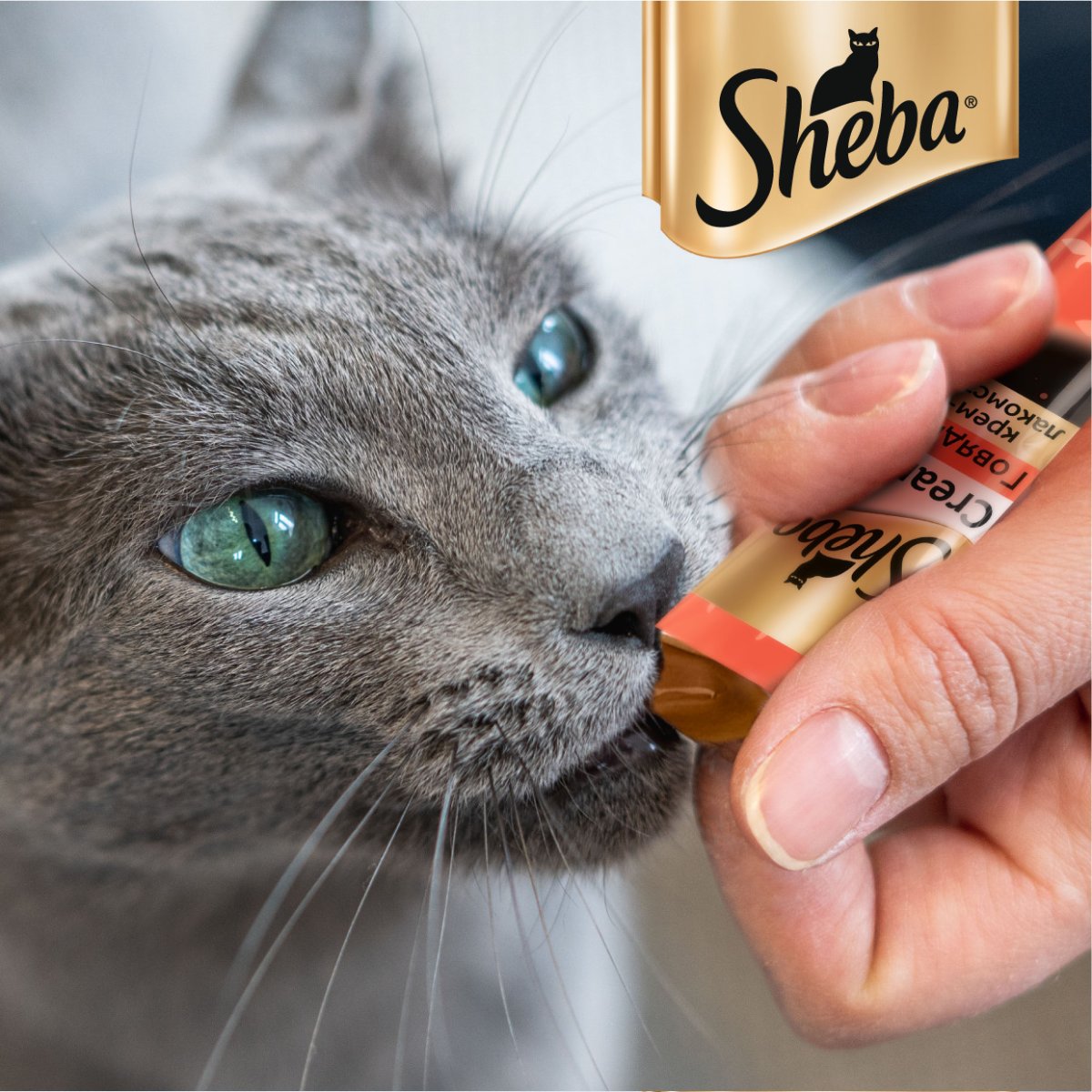 Реклама кошачьего корма Шеба