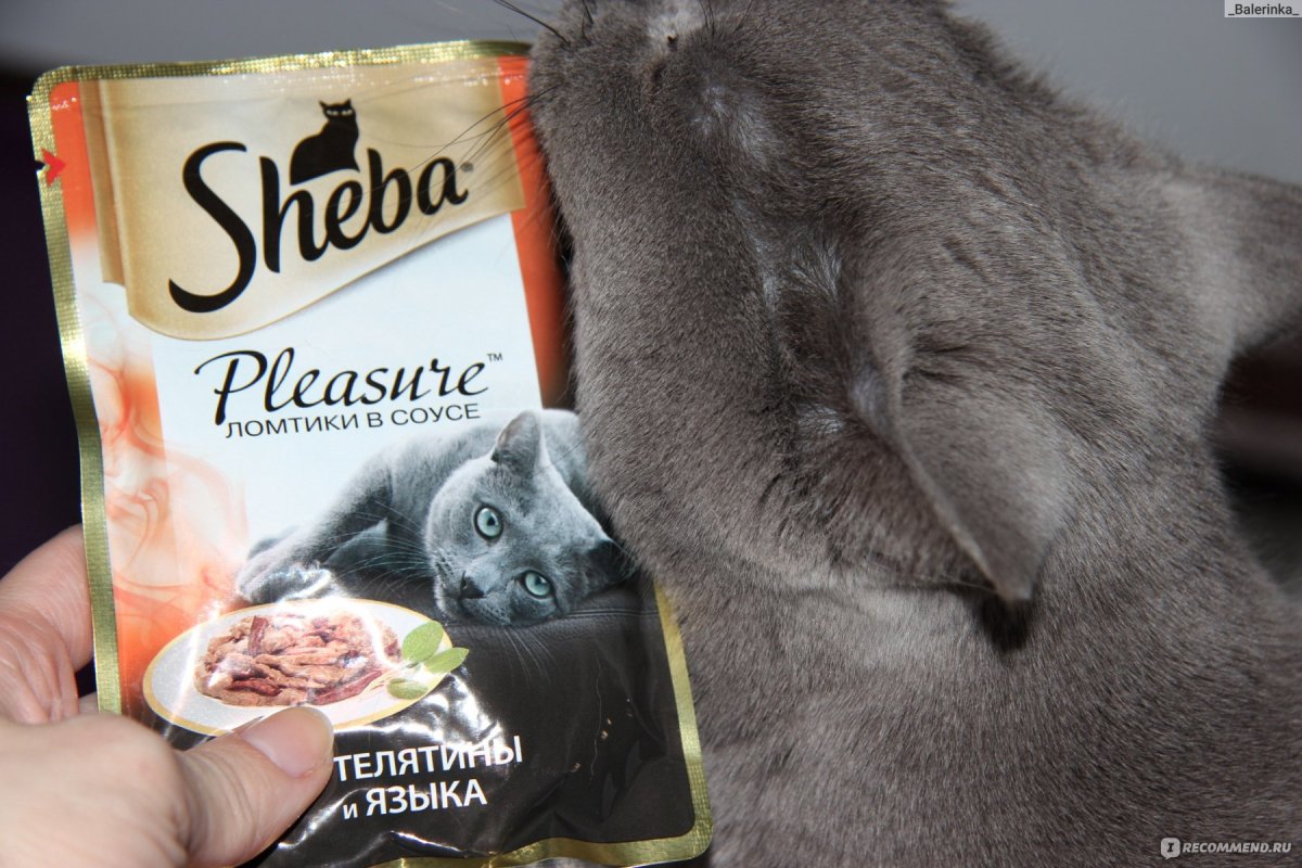 Реклама кошачьего корма Шеба