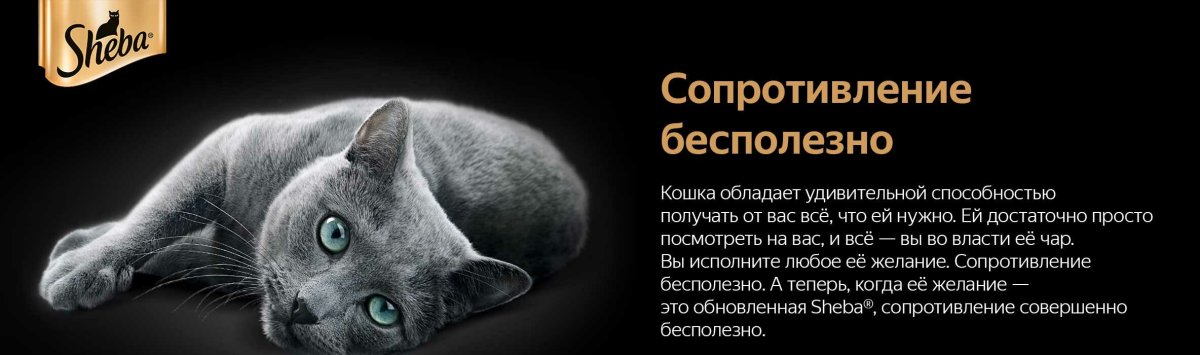 Шеба Delicatesso патэ говядина 22*85гр