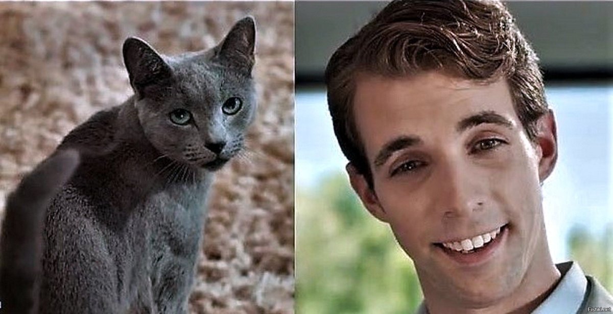 Ева Лонгория Шеба