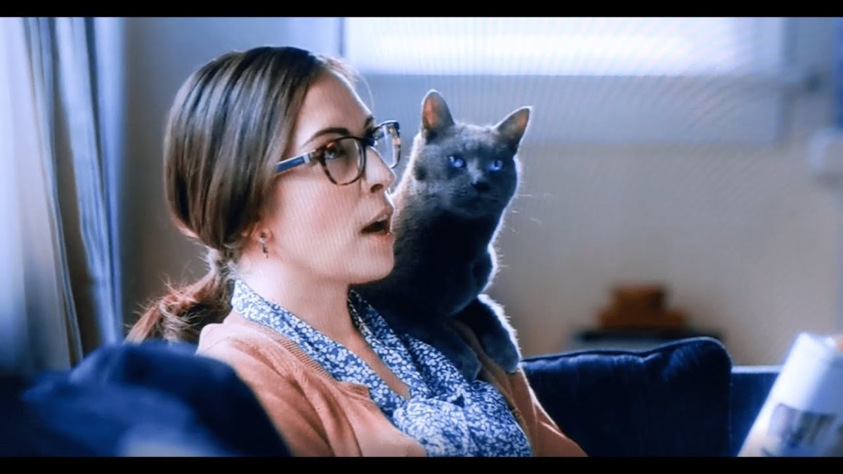 Реклама Шеба корм для кошек