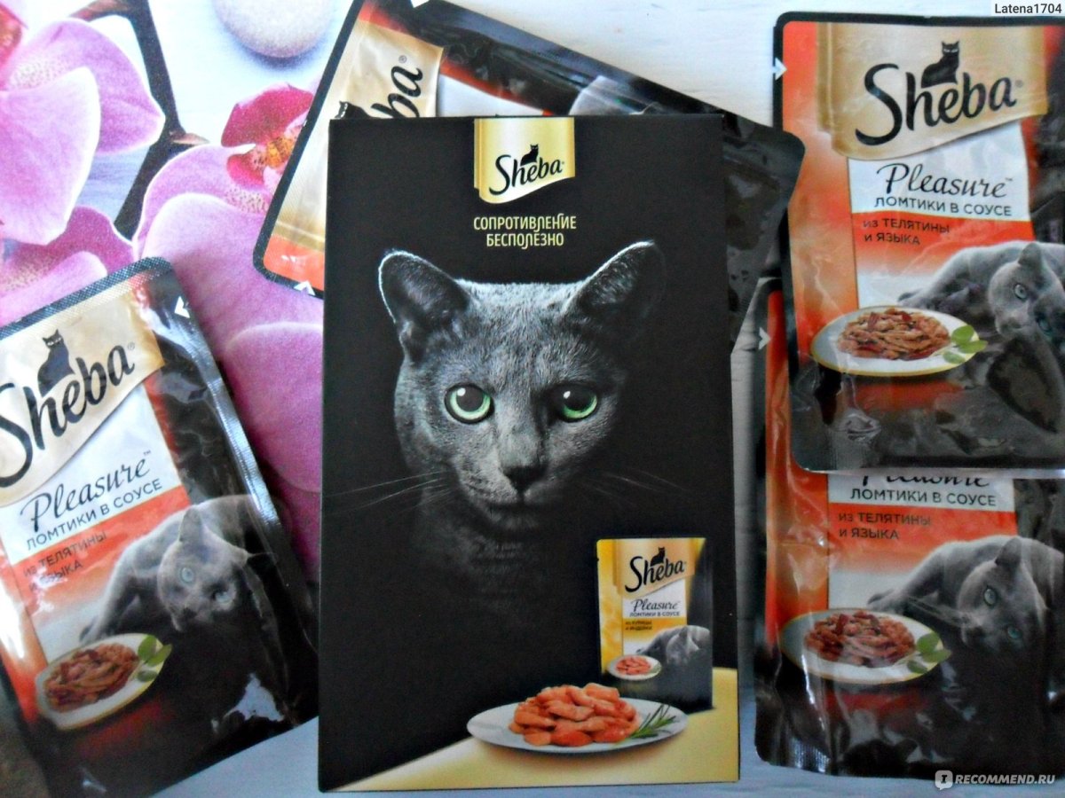 Шеба логотип