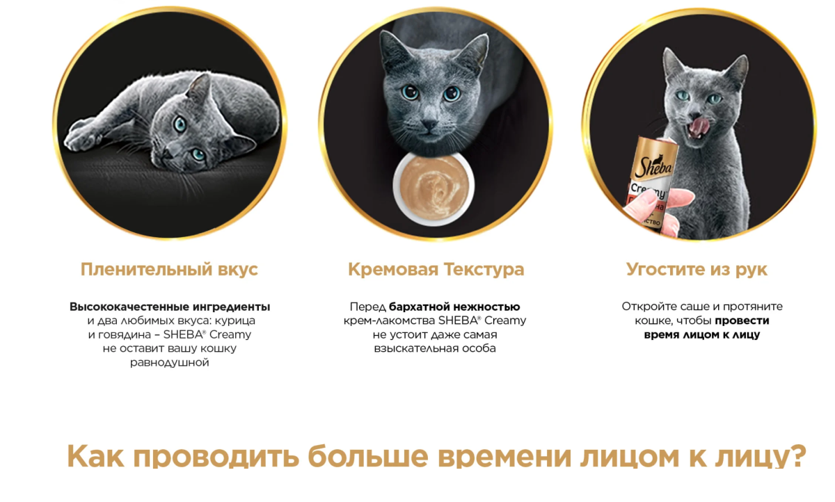 Sheba логотип