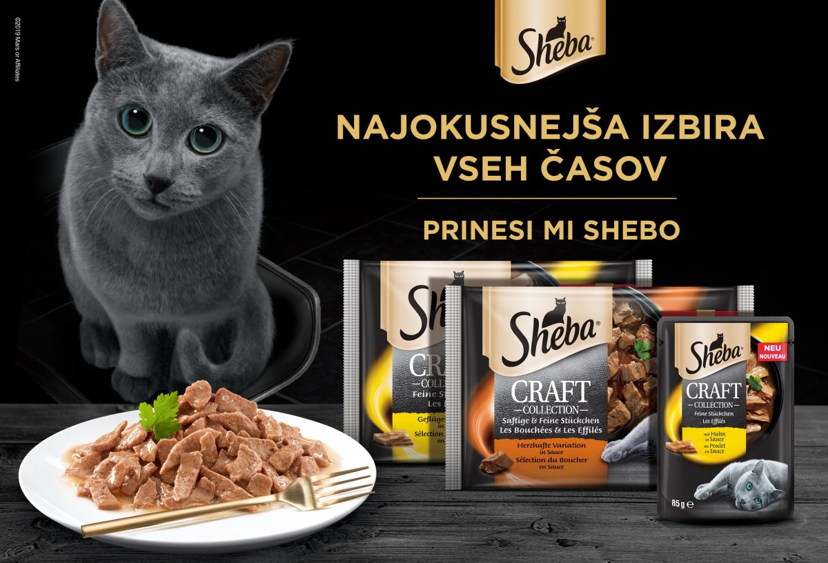 Шеба и кот фото