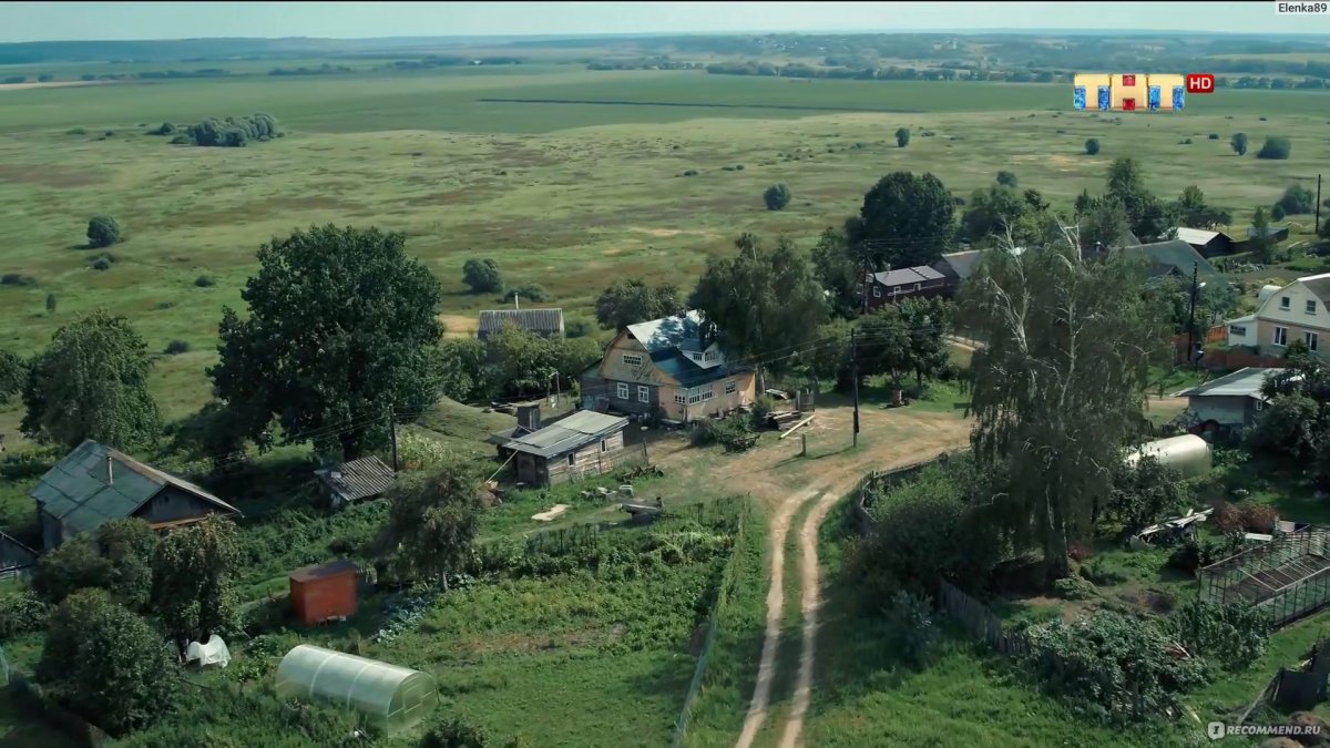 Жук ламприма золотистая