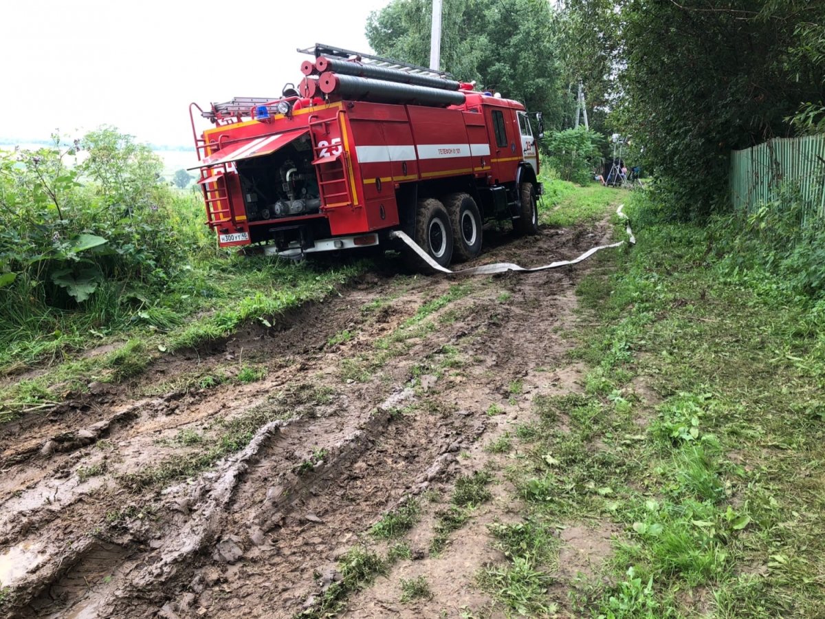Жук бронзовка Голиаф