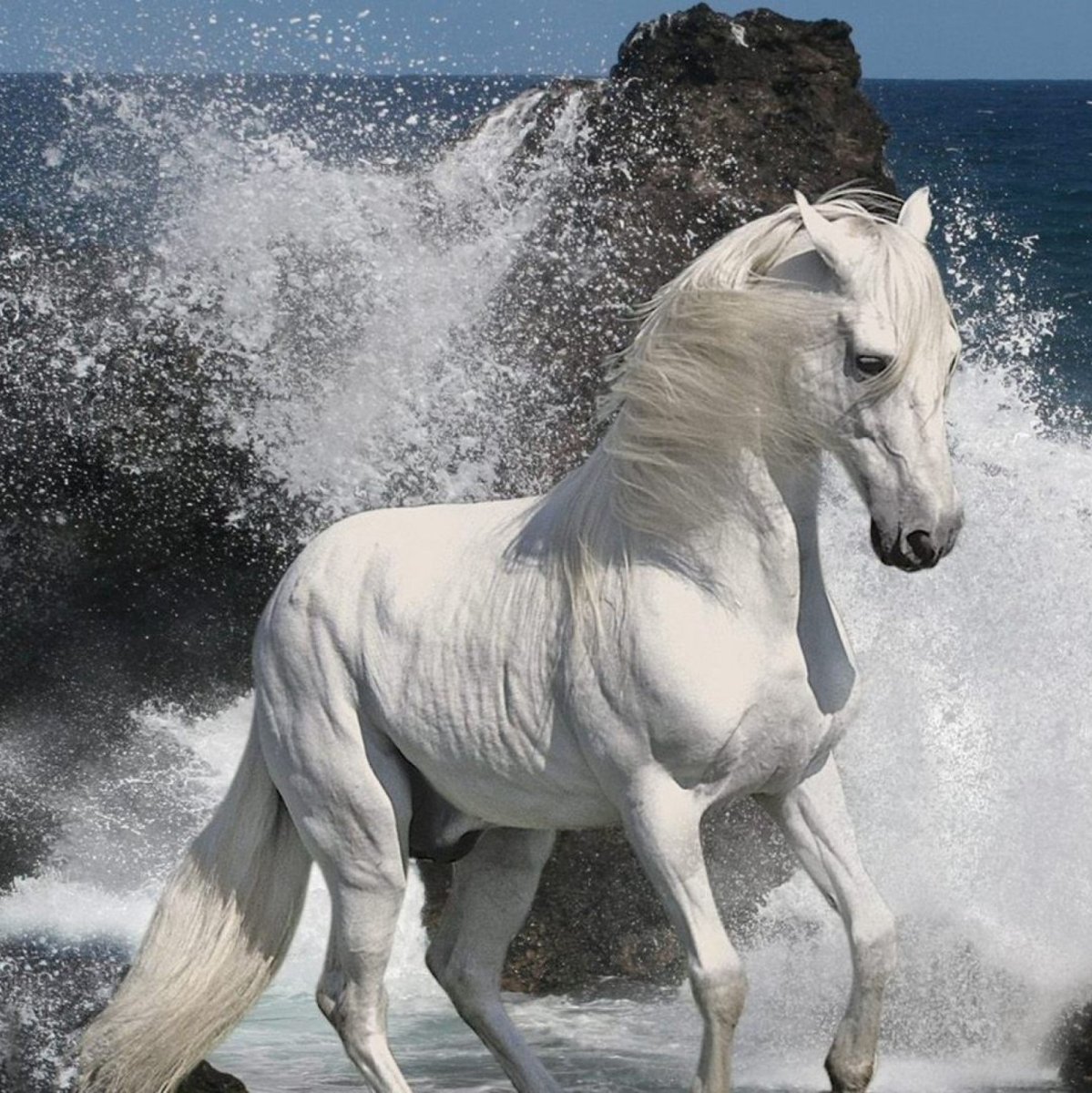 Металлические скульптуры