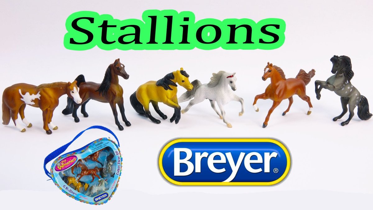 Лошадка породы Фалабелла