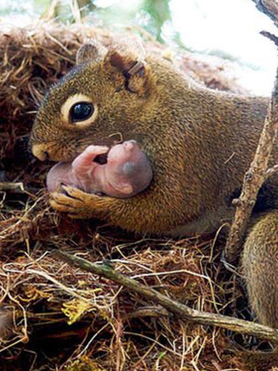 Вадим Трунов фотограф