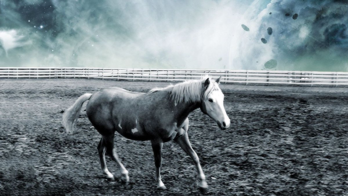 Пони Фалабелла рост