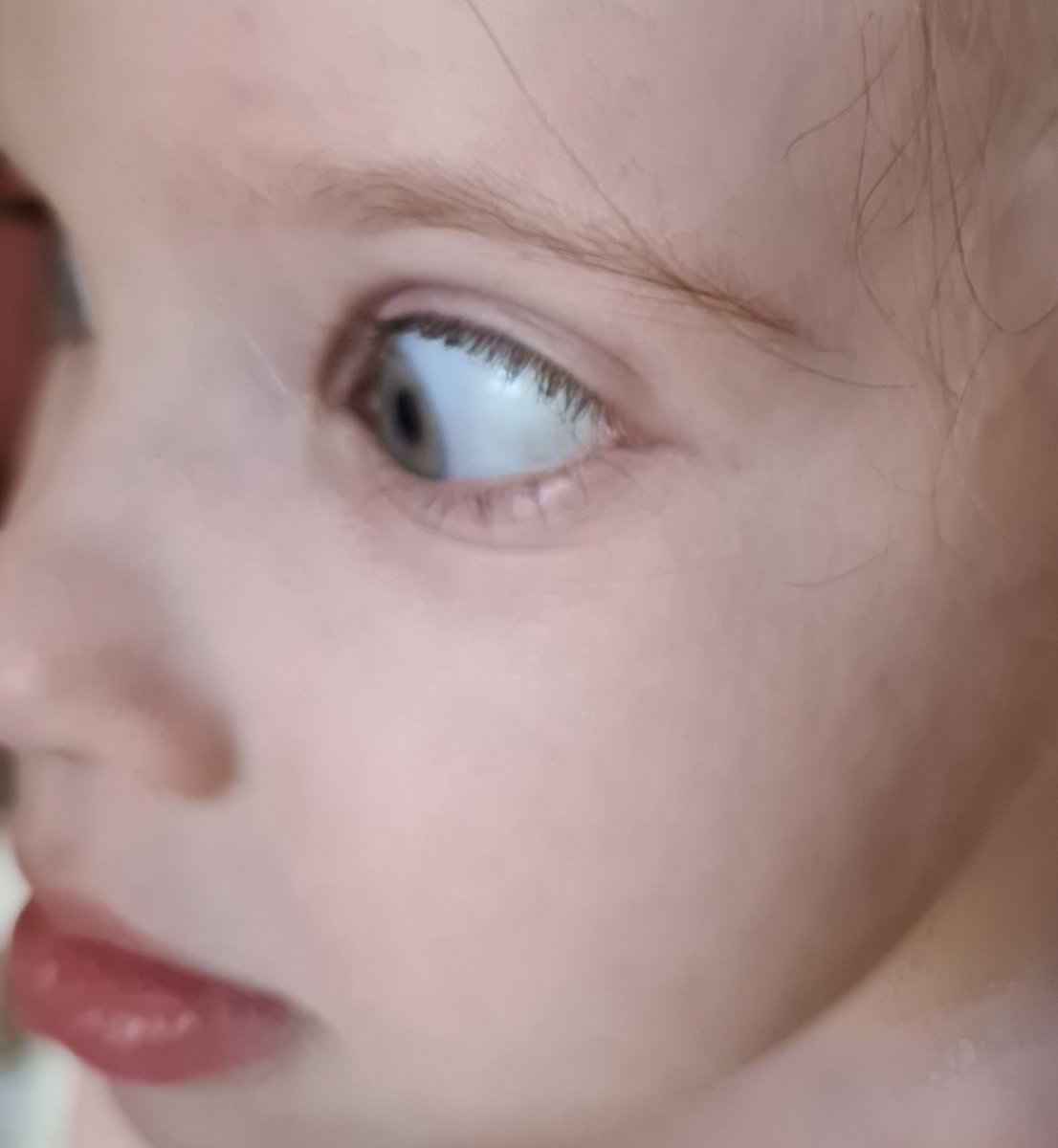 Детеныш белки новорожденный