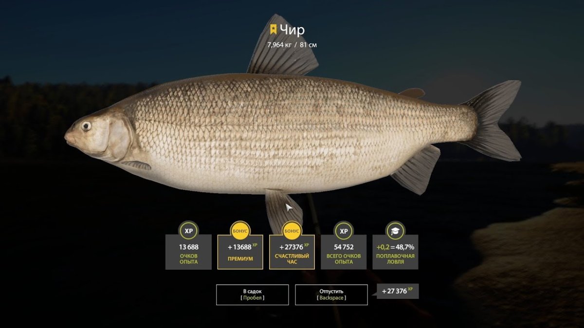 Малек радужной форели