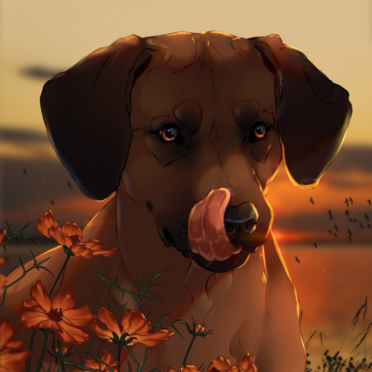 Милые собачки арт