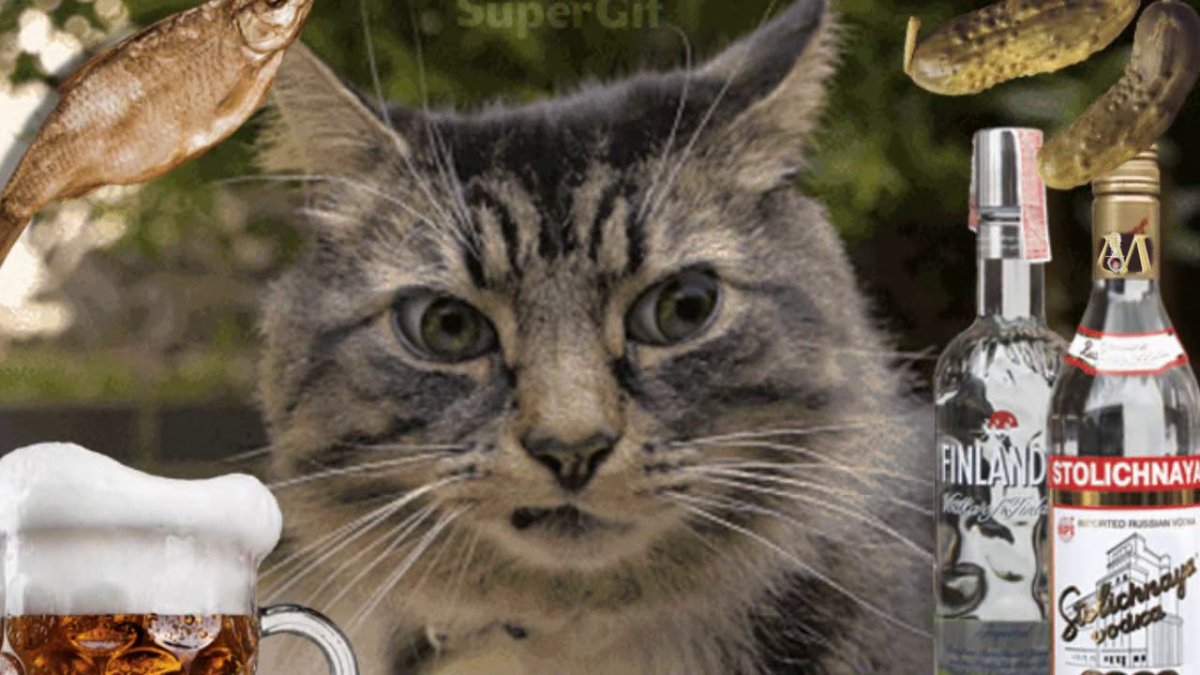 Кот пятница