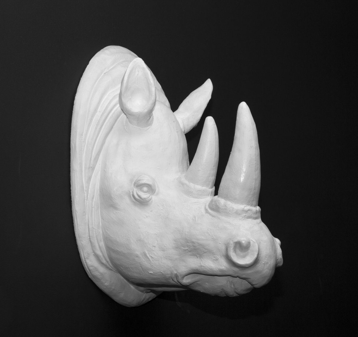 Носорог портрет