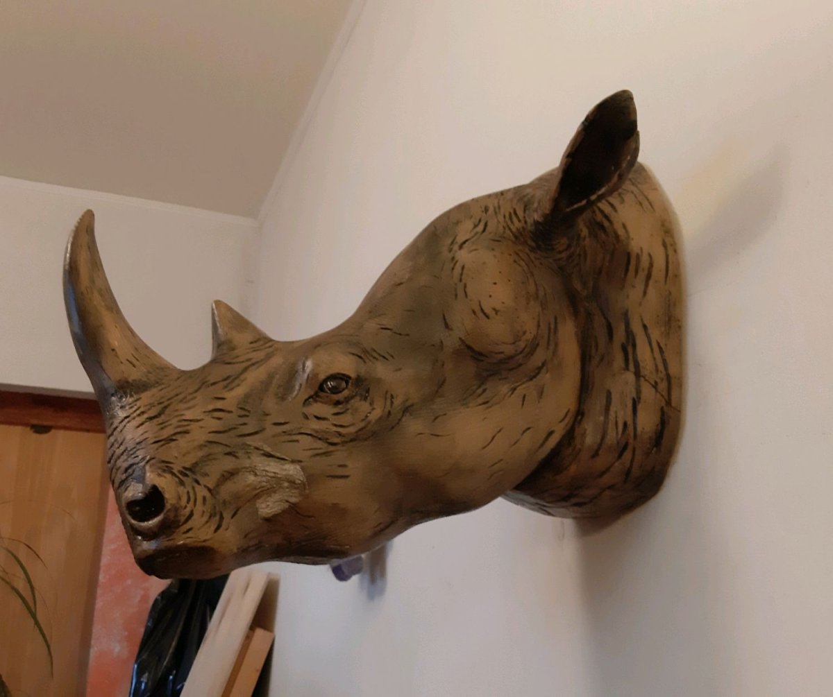 Самые известные картины с носорогом