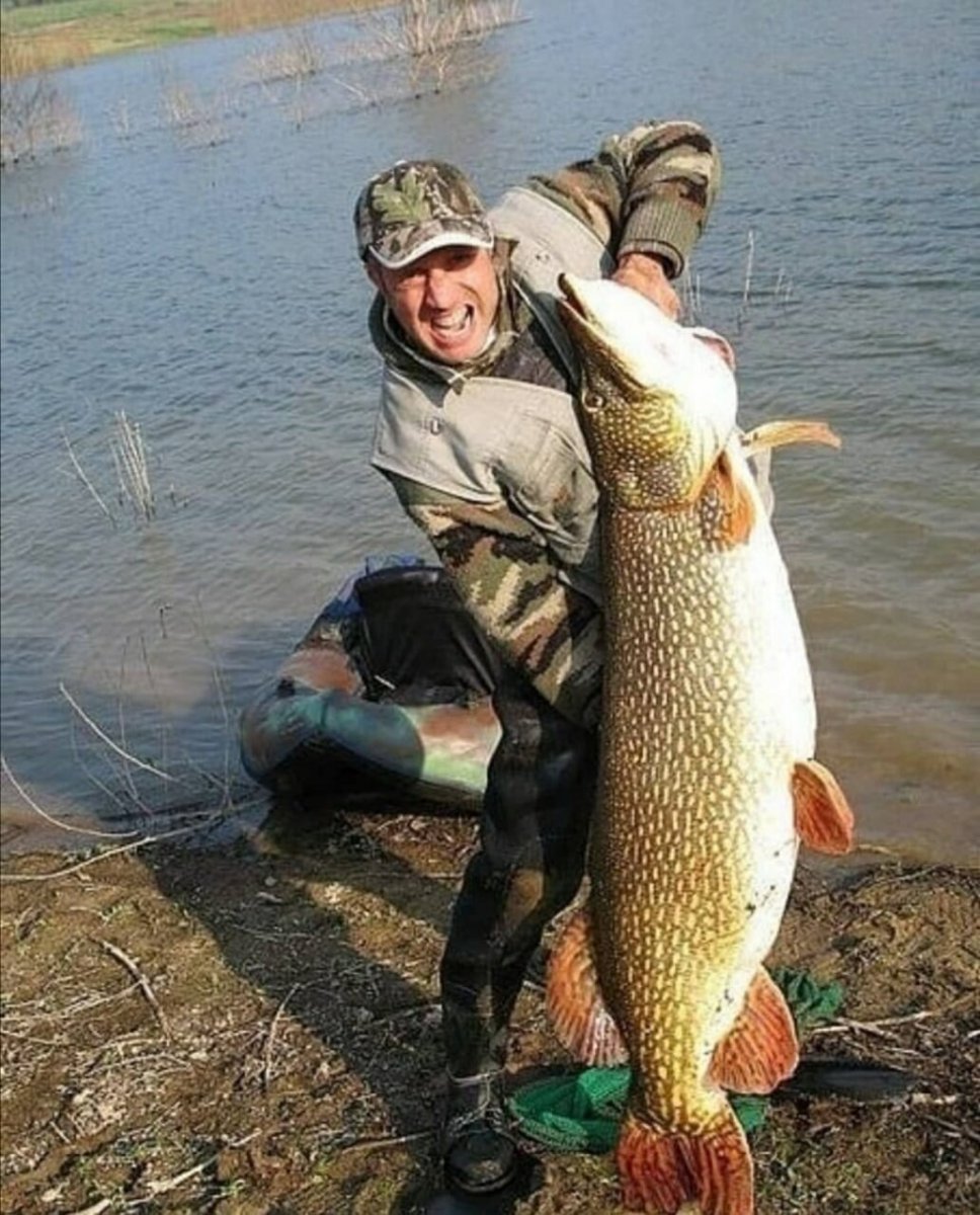 Самая большая щука Ильмень