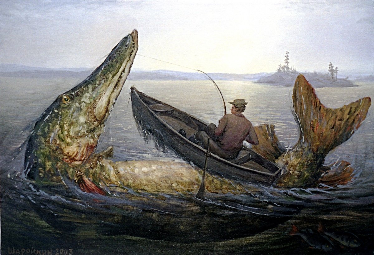 Вес самой большой щуки в мире в кг