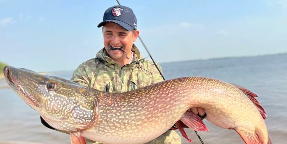 Щука Фридриха Барбароссы