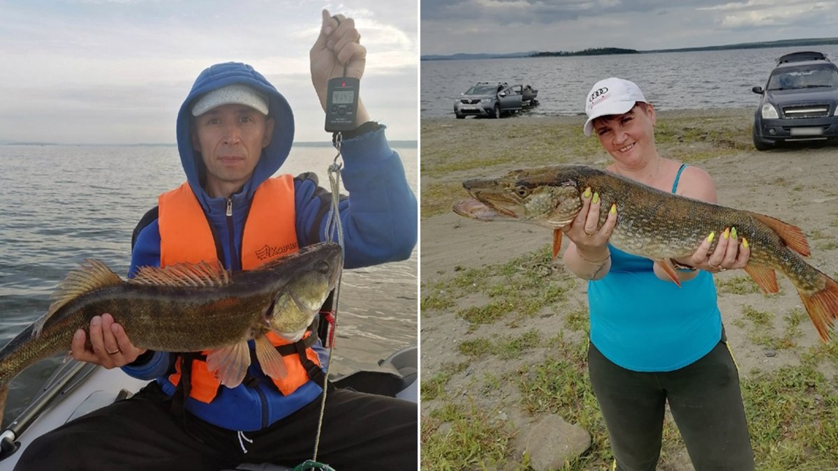 Щука гигант