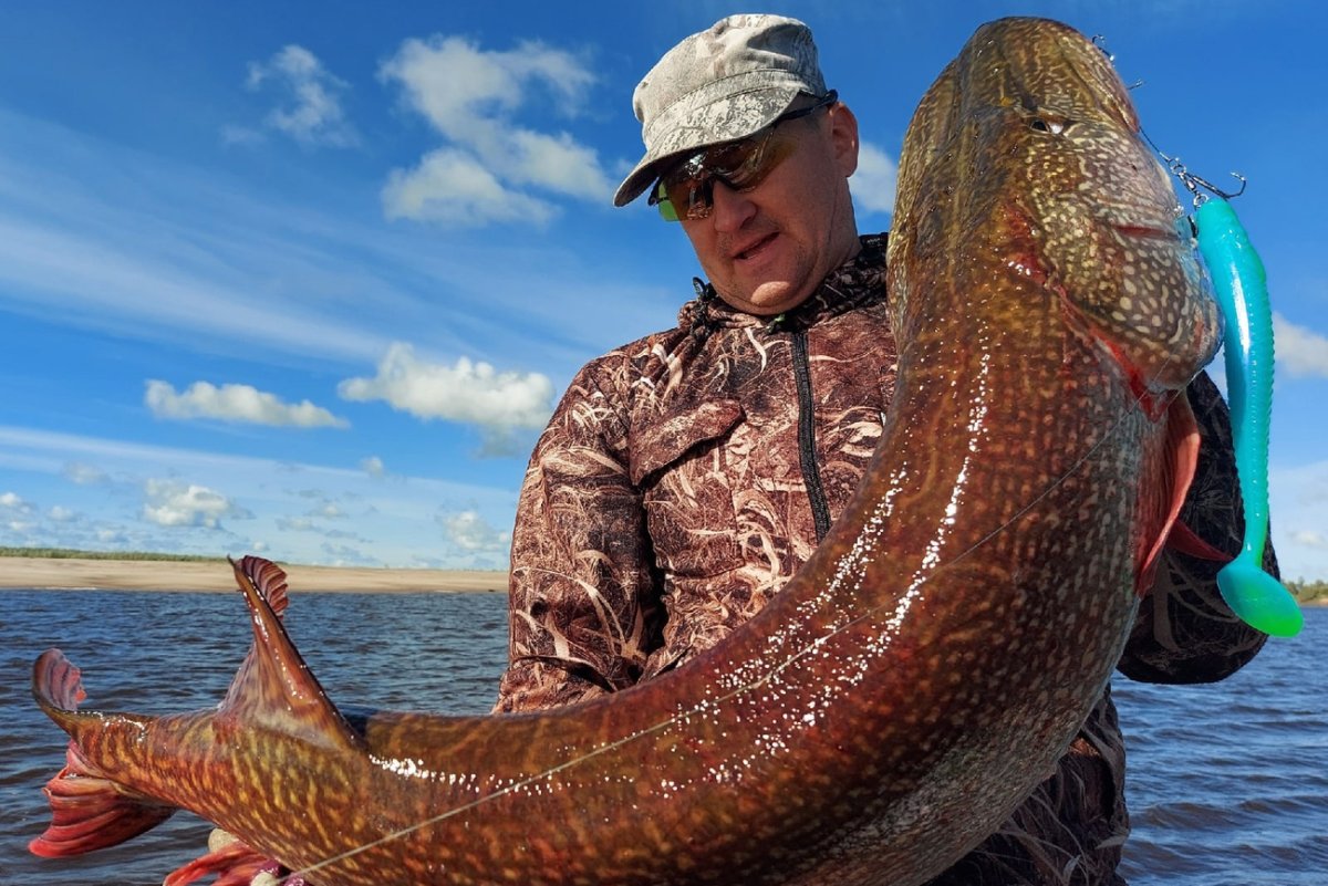 Щука гигант