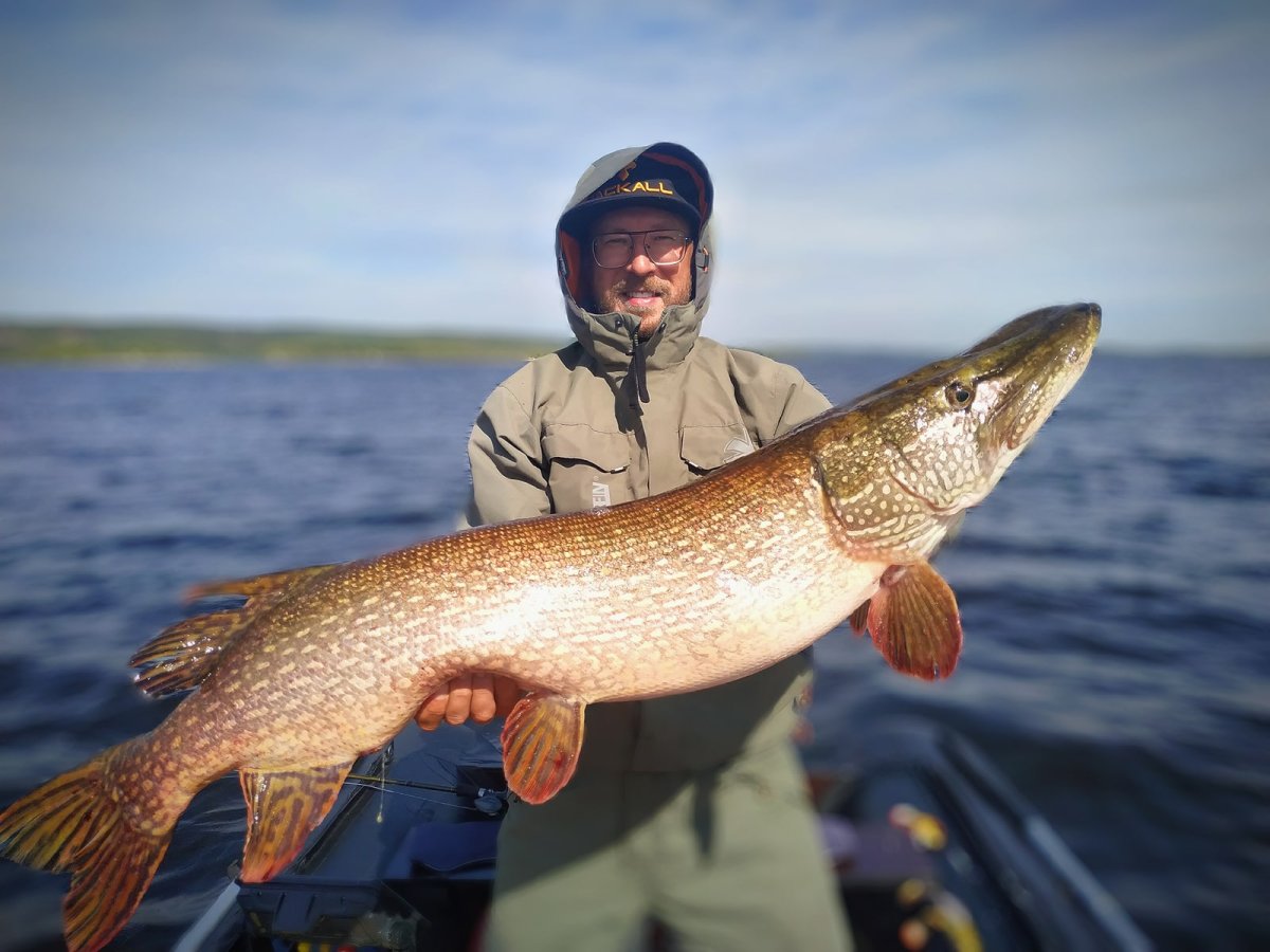 Щука гигант