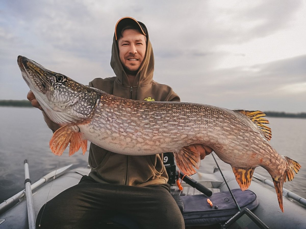 Гигантская щука