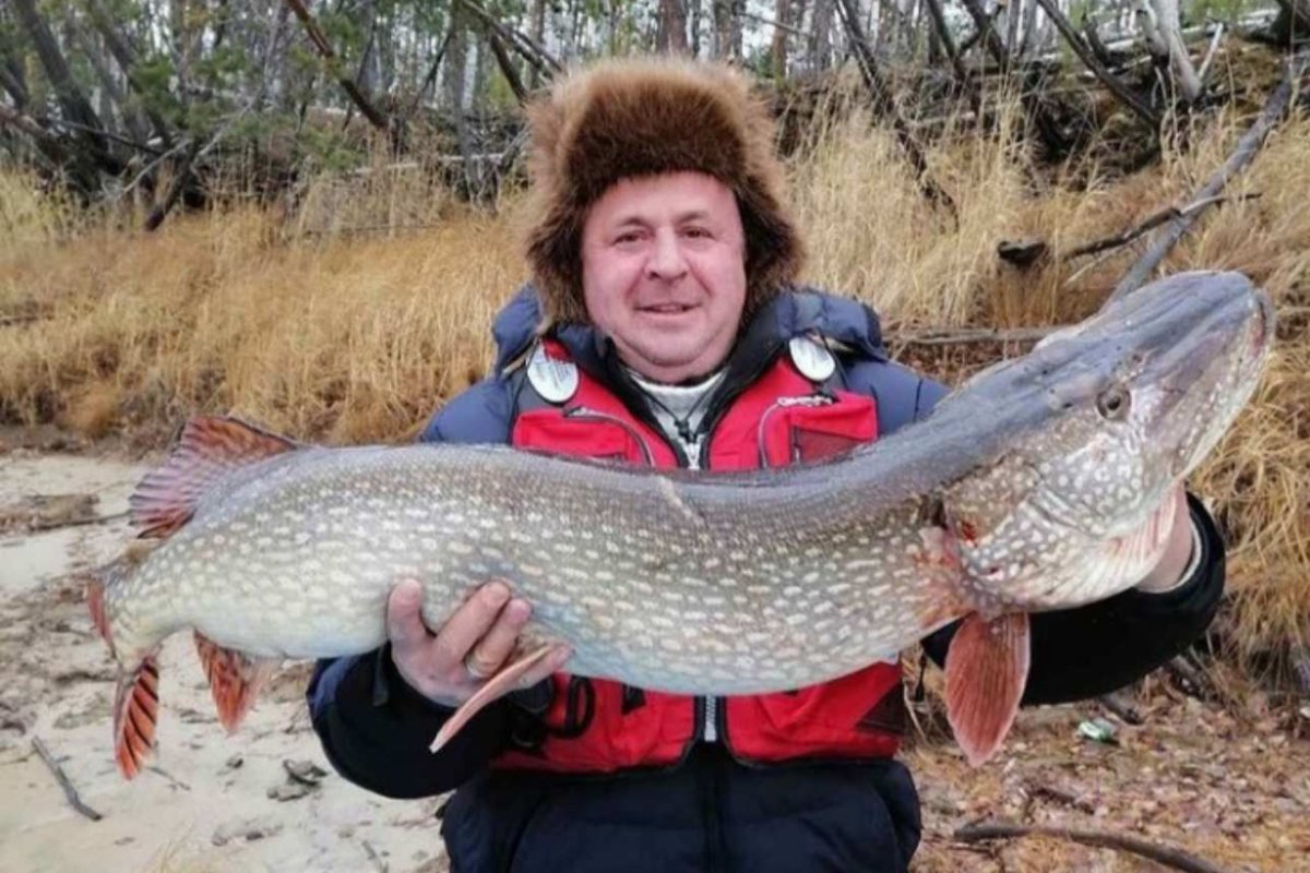 Рыба вспышка