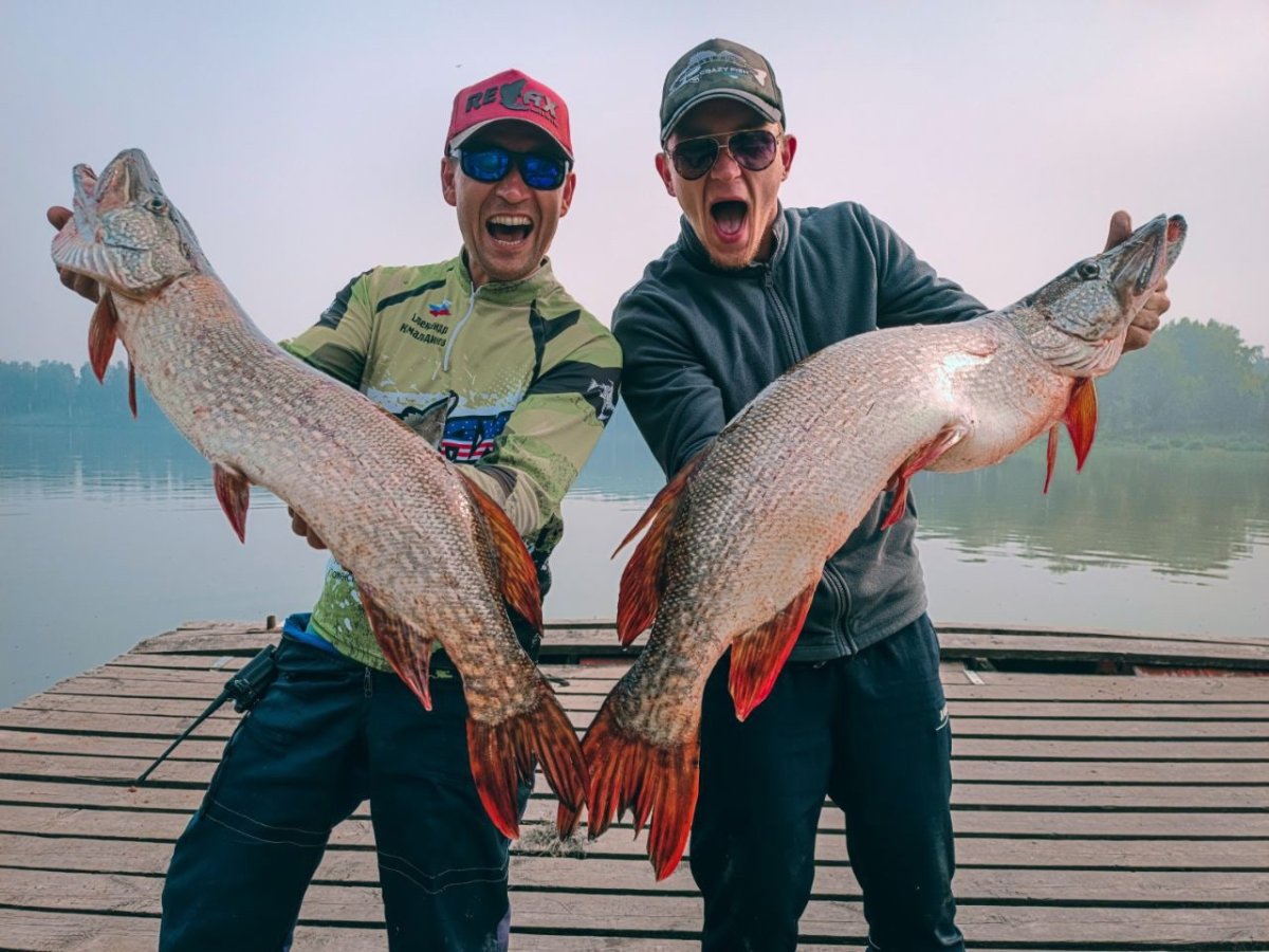 Аляскинский лосось