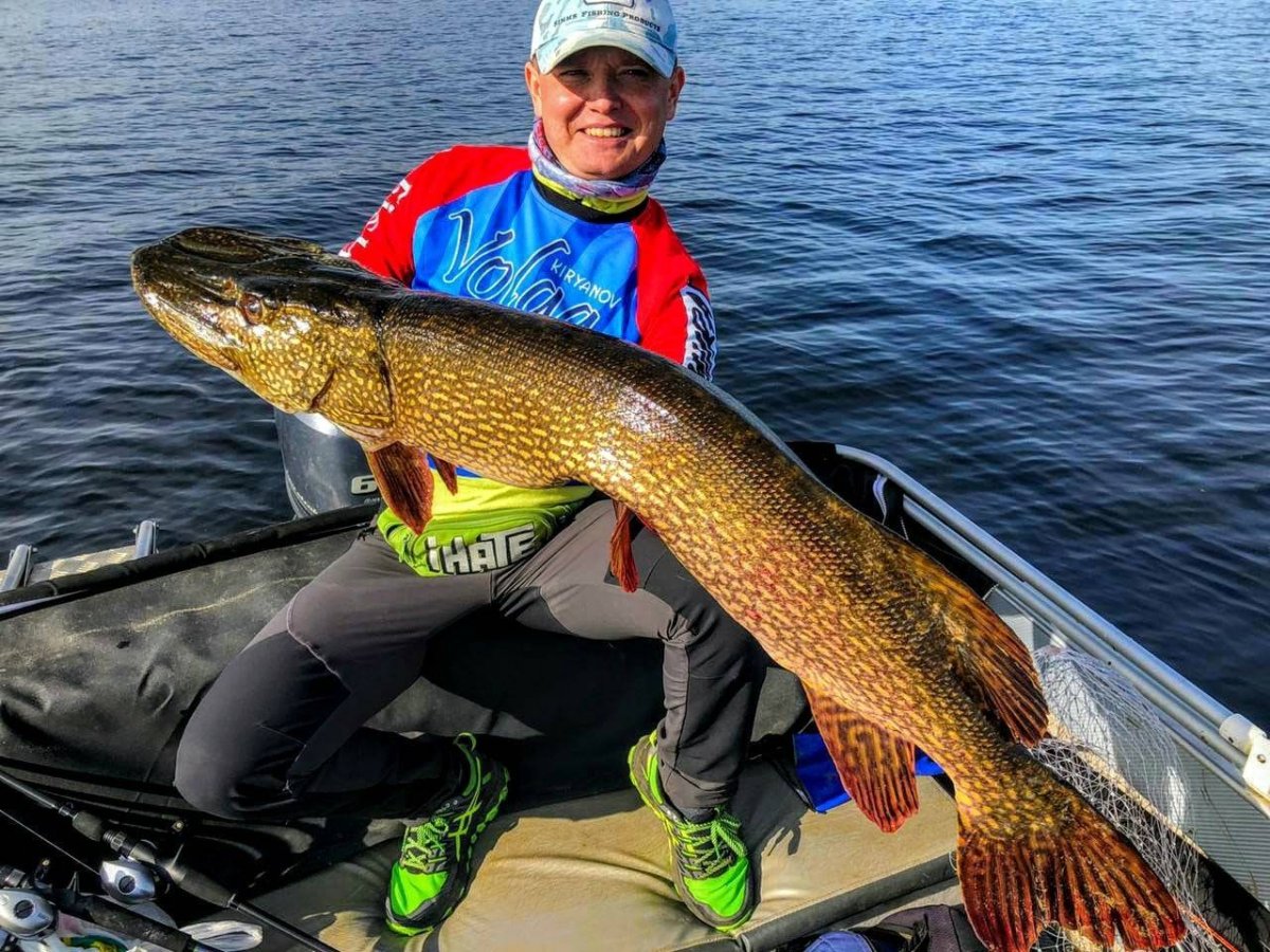 Щука Озерная