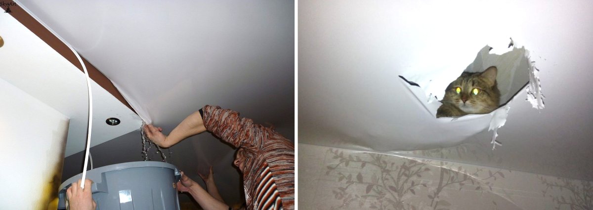 Кот прогрыз натяжной потолок