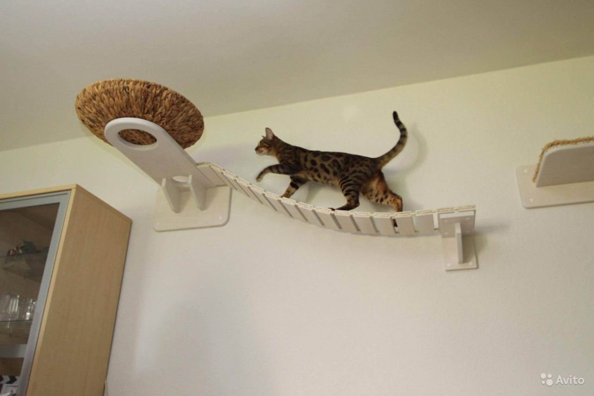 Полки для кошек
