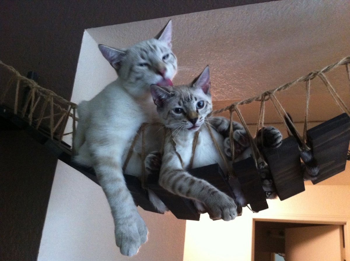 Потолок с фотопечатью в ванную