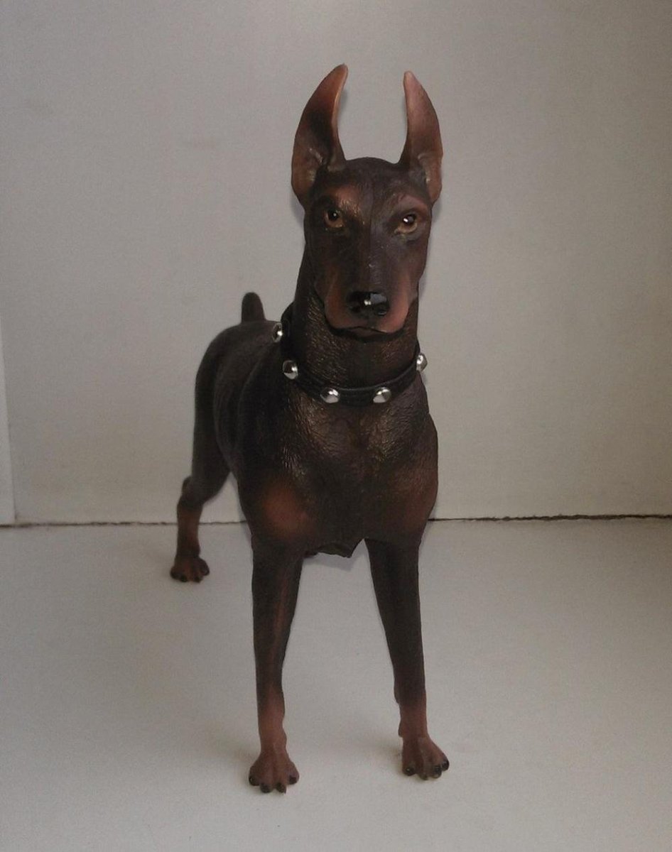 Метис добермана и стаффа