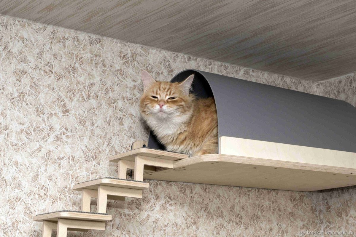 Там уже налито