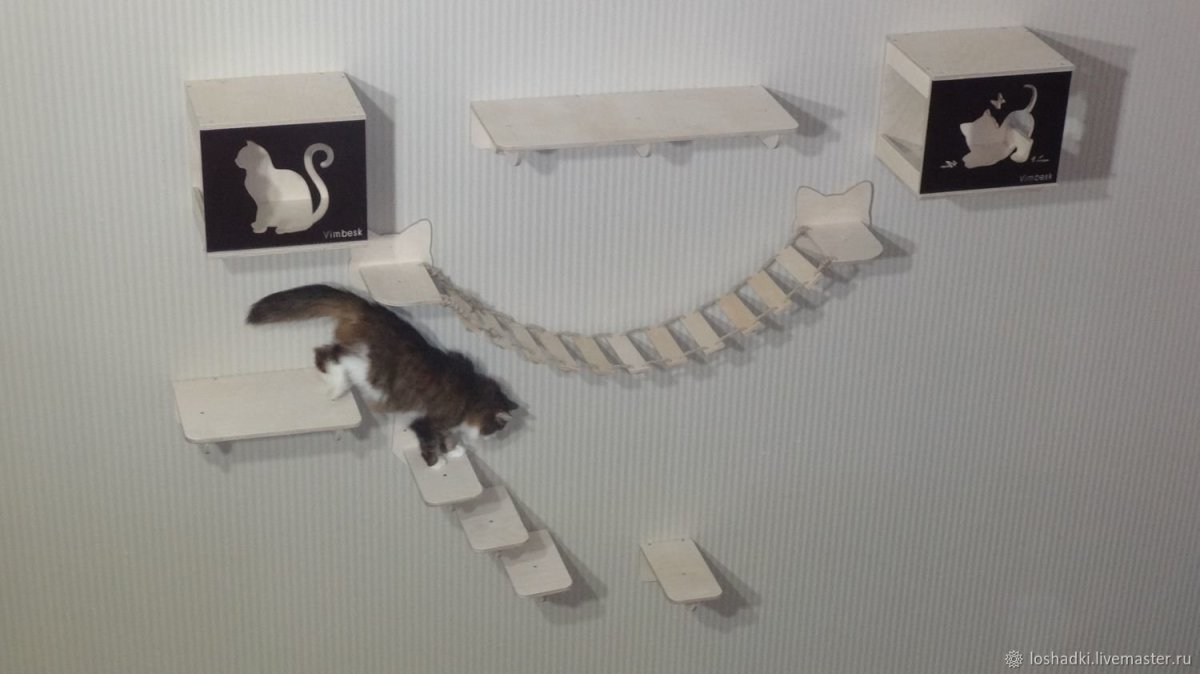 Натяжной потолок с котенком