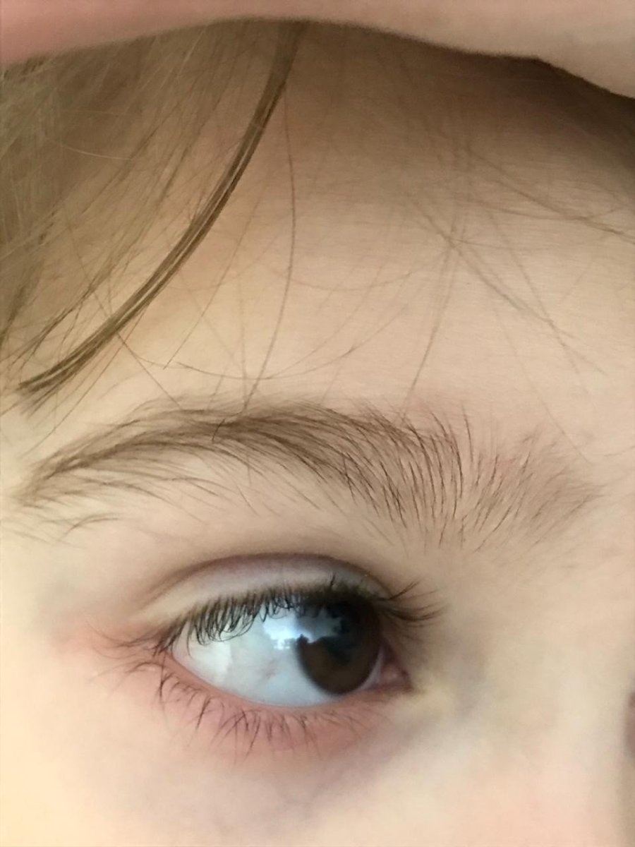 Звериные глаза