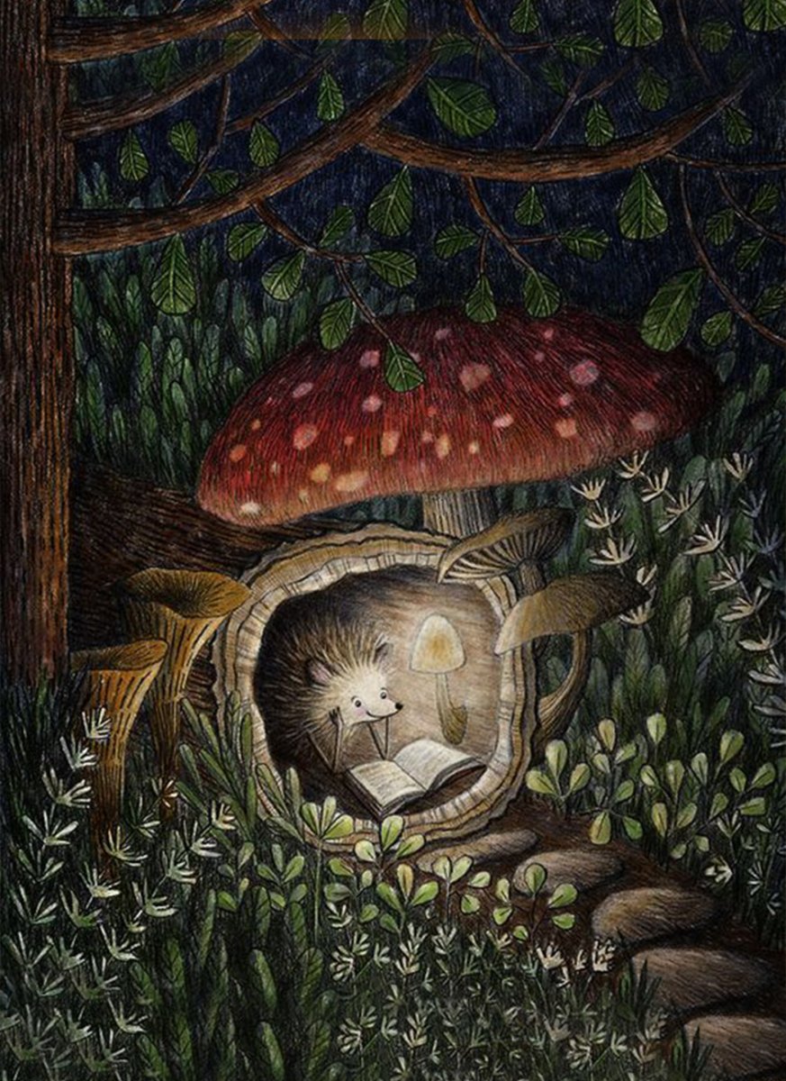 Сказочные грибы