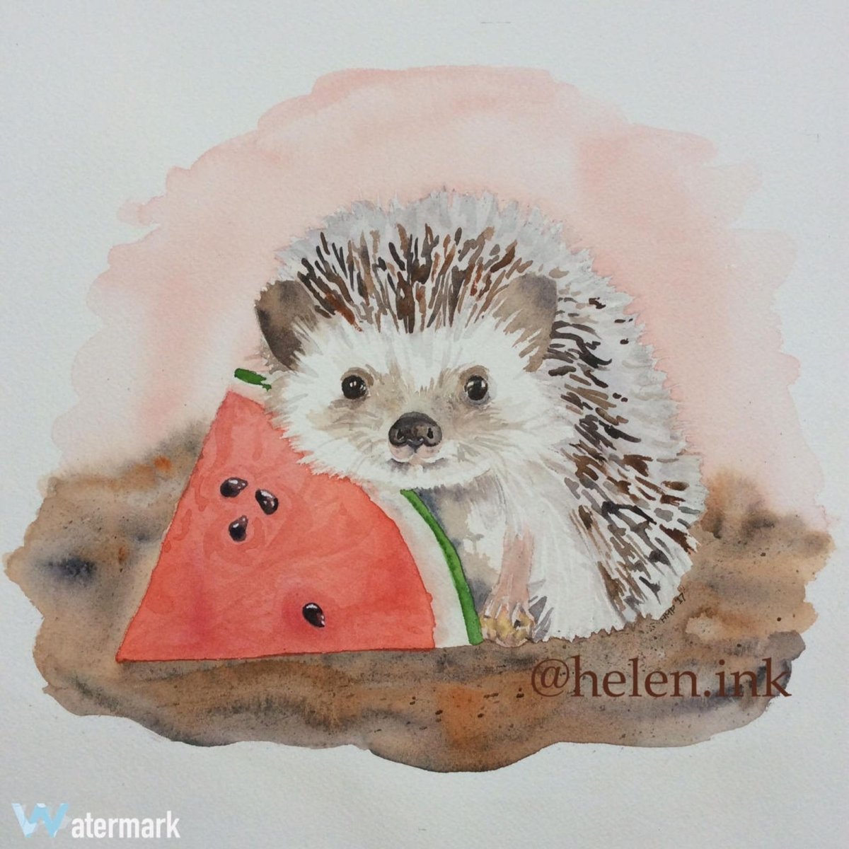 Акварельные ежики