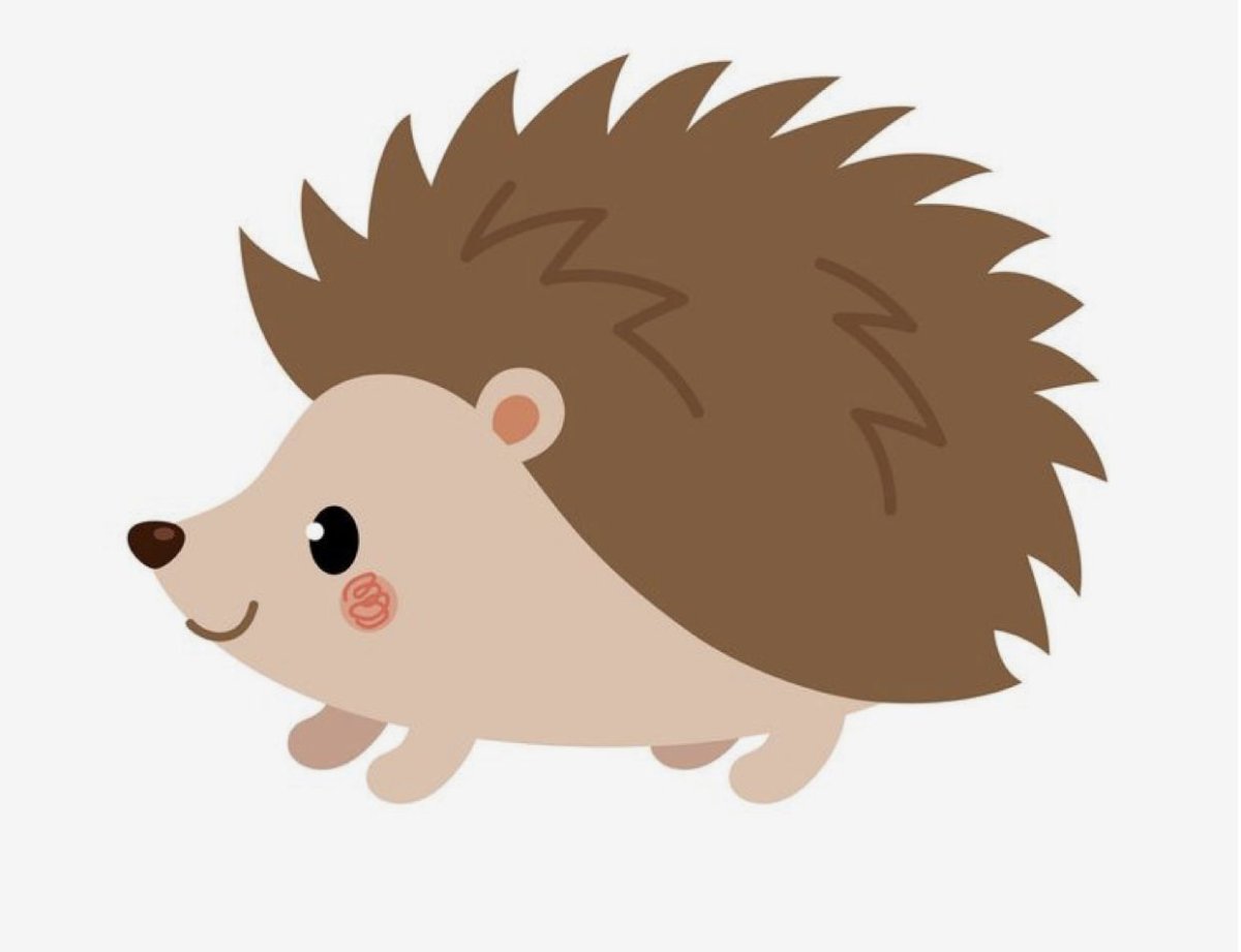 Ежик без фона