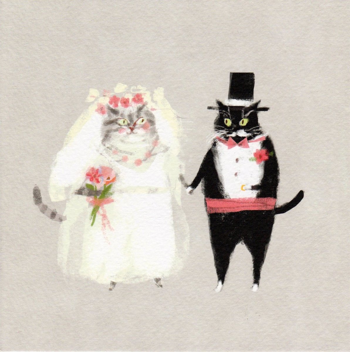 Жених для кошки