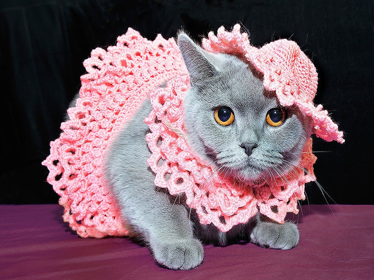 Платье розовое с кошками