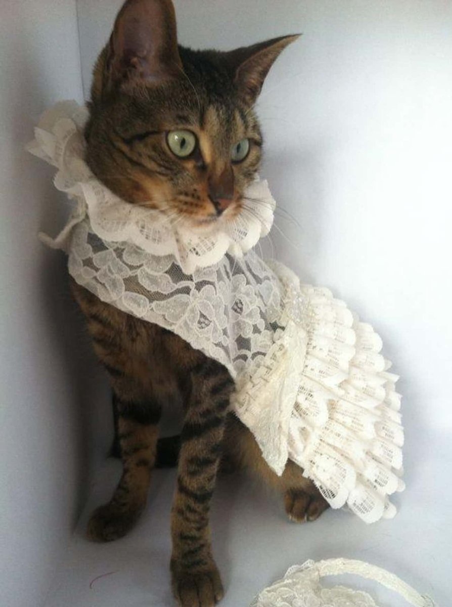 Сьюзен Герберт картины