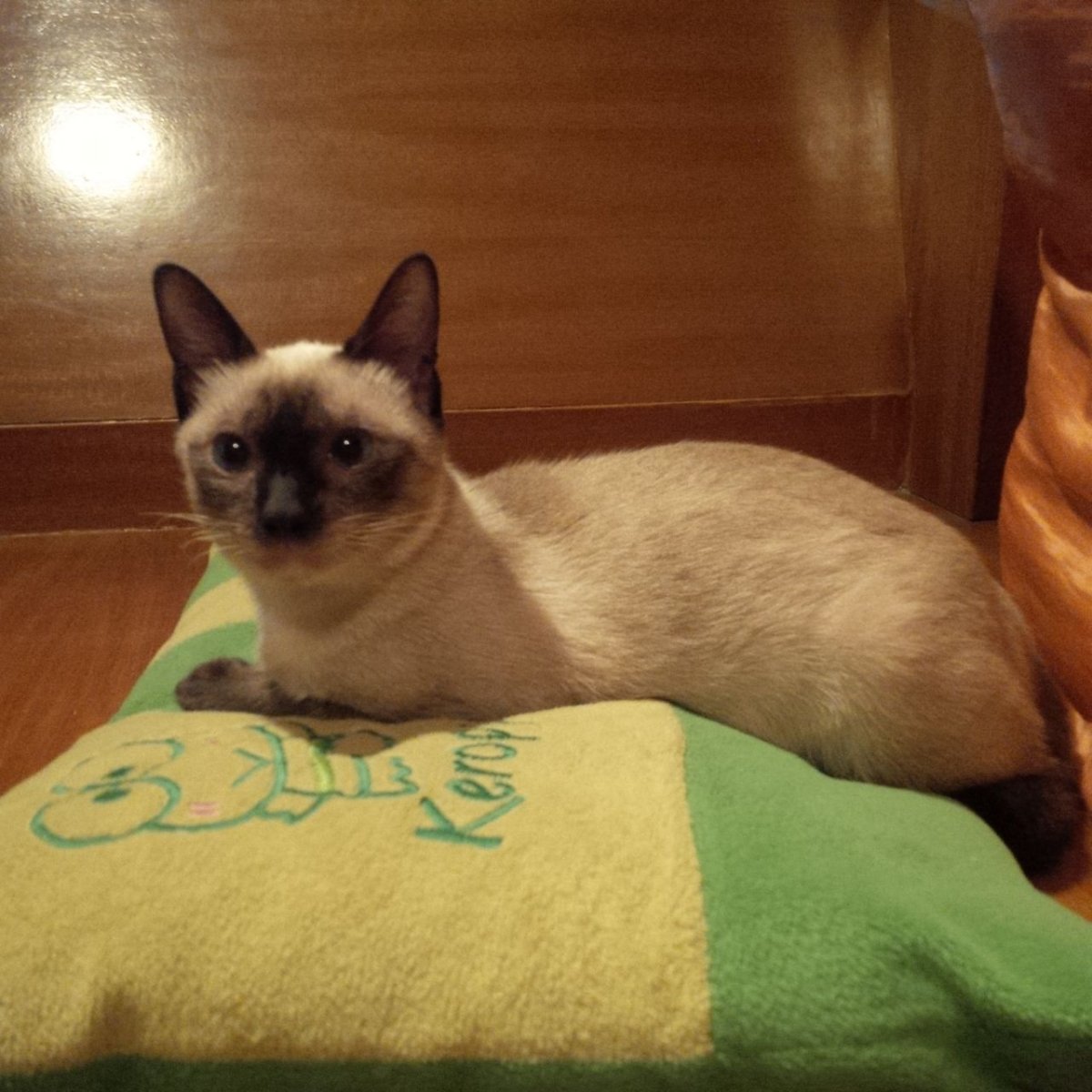 Тайский ред Пойнт