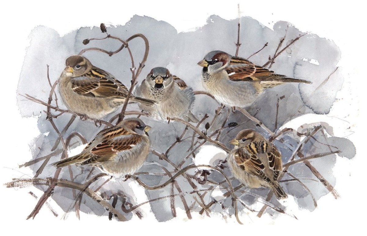 Ларс Йонссон