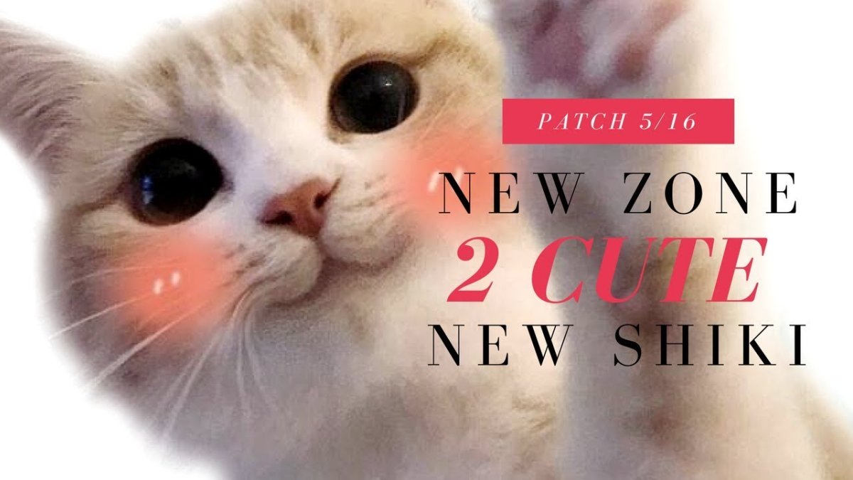 Милые пикчи с котиками