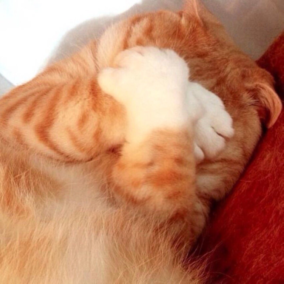 Павел Мурзыкин